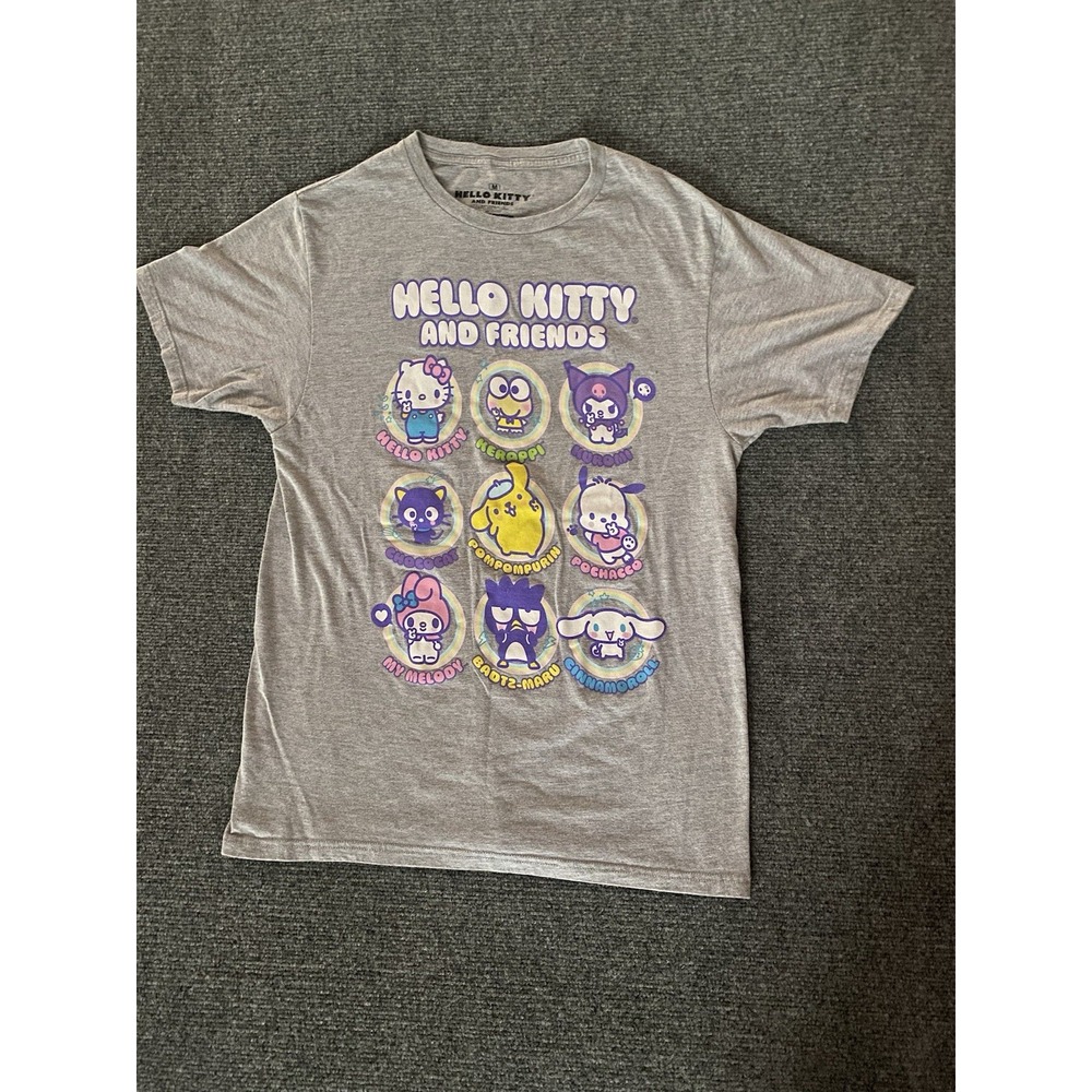 Hello Kitty and Friends Sanrio Character Graphic T-Shirt Gray Medium Novelty Fun